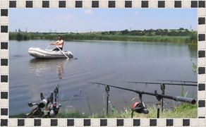 carp